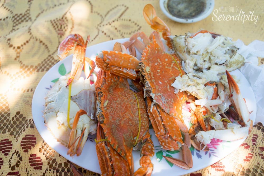 huge craps in koh tonsay cambodia