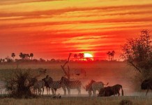 5 best places for safari sundowner in Botswana