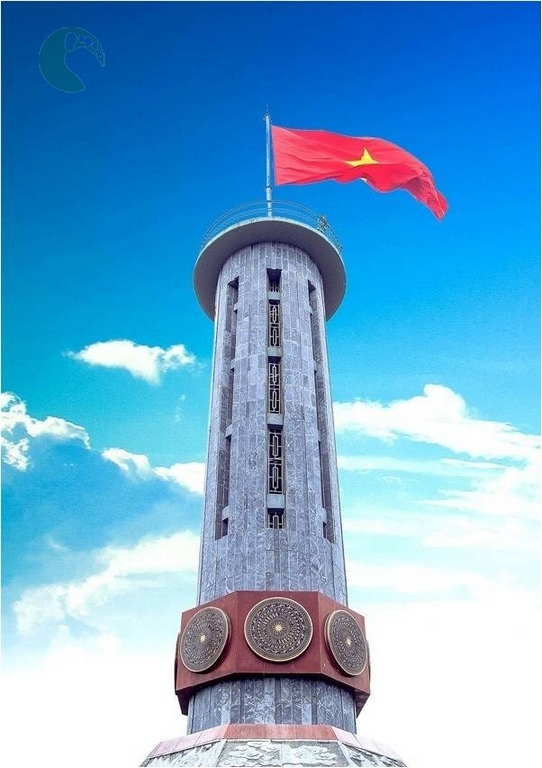 Lung cu flag