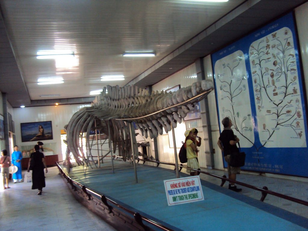 nha trang oceanography institute 1