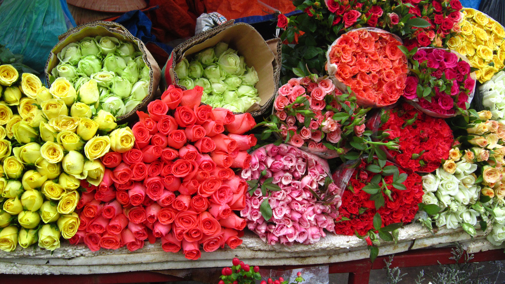 plum flowers at quang ba flowers market hanoi vietnam 3