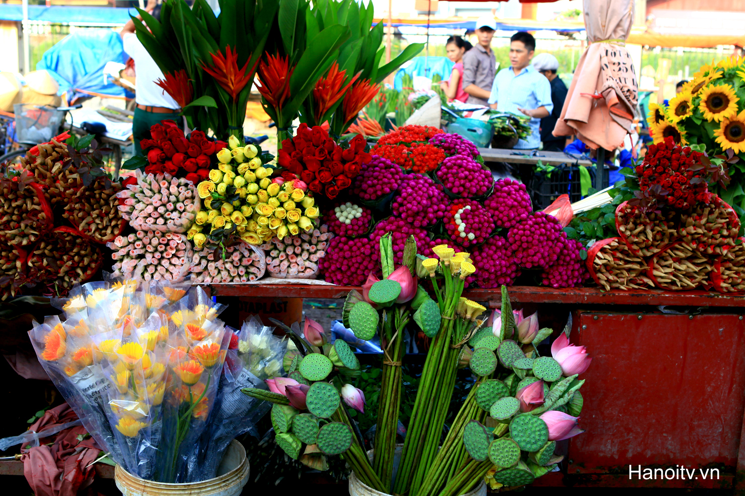 quang ba flowers market hanoi vietnam