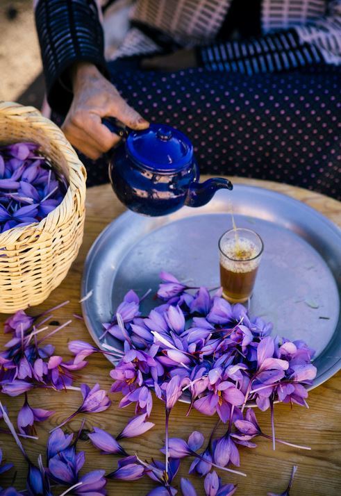 saffron tea prepared with freshly picked threads 2