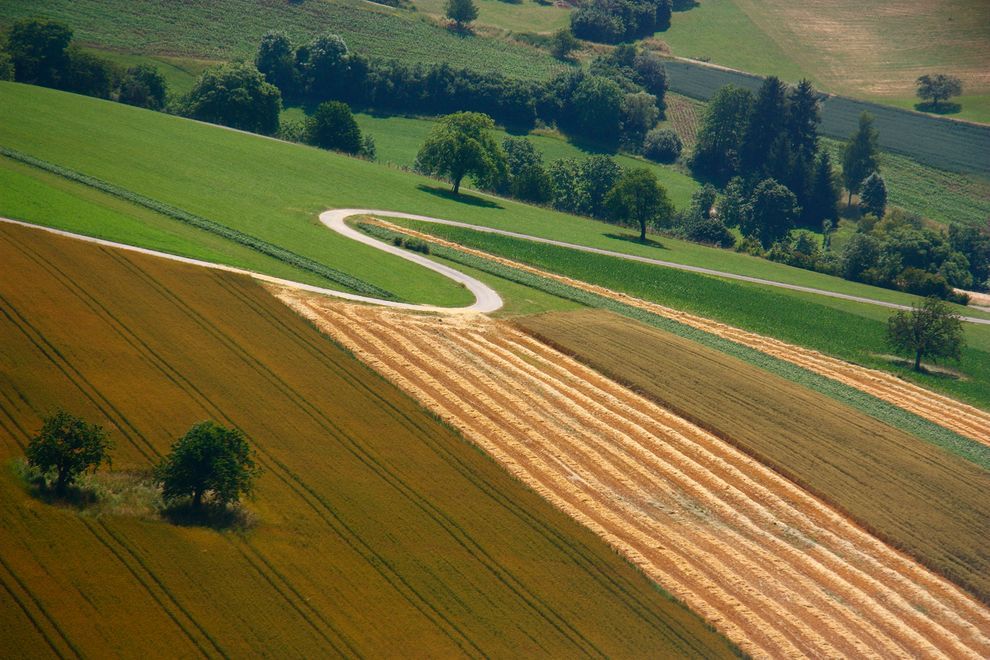 Photograph by blickwinkel/Alamy Stock Photo