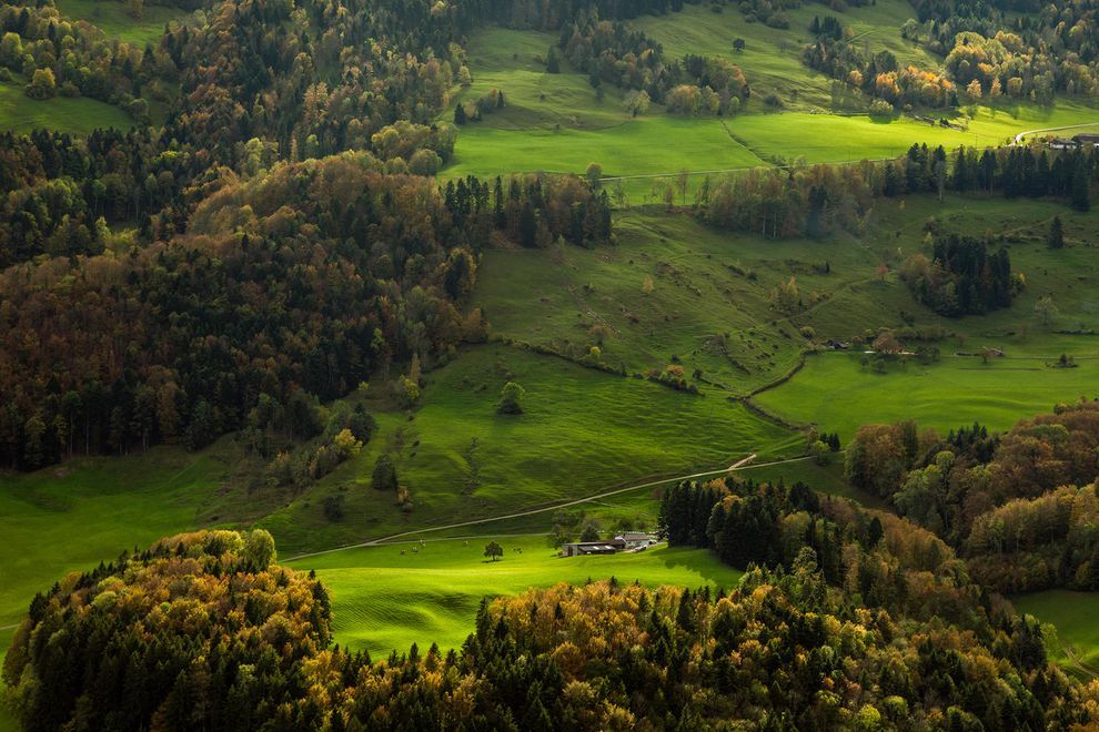 Photograph by Slawek Staszczuk/Alamy Stock Photo