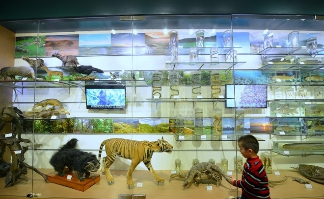 the national museum of nature hanoi