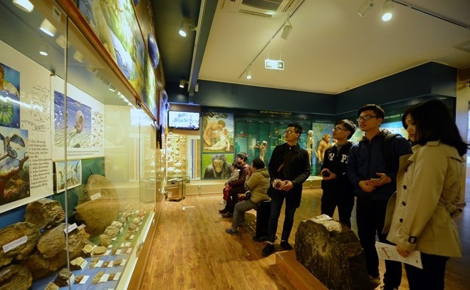 the national museum of nature in hanoi viet nam