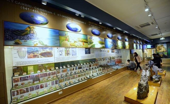 the national museum of nature in hanoi vnam