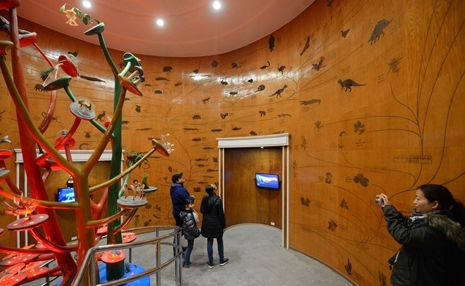 the national museum of nature in vietnam hanoi