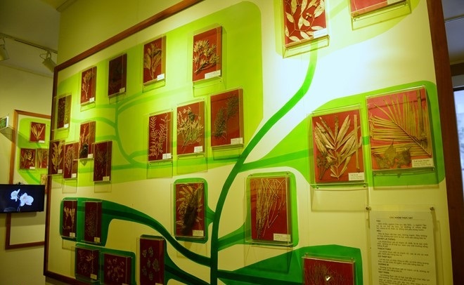 the national museum of nature in vietnam in hanoi in vietnam