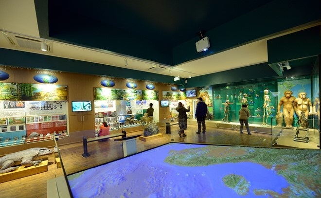 the national museum of nature in vietnam in hanoi vietnam