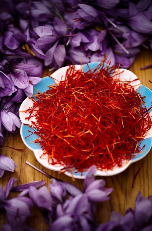 the saffron is quickly separated, dried 2