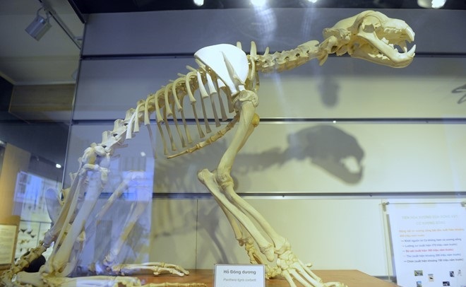the vietnam national museum of nature in hanoi