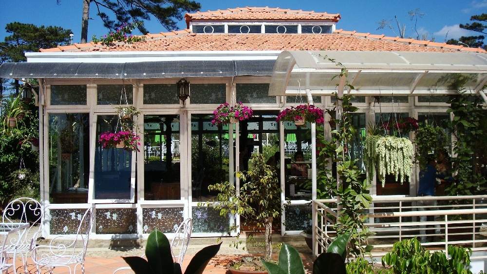 Violet book cafe. Photo: dulich24.com.vn