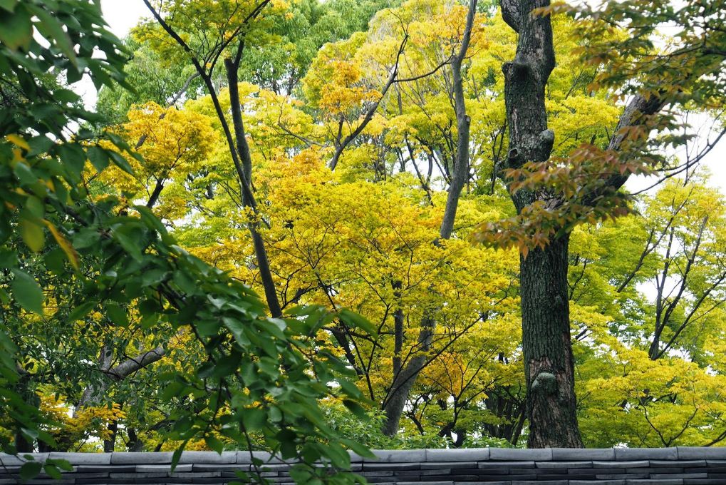 osaka weather climate best time to visit when to go 2