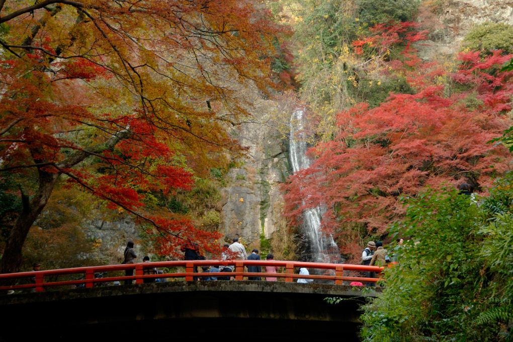 osaka weather climate best time to visit when to go 2