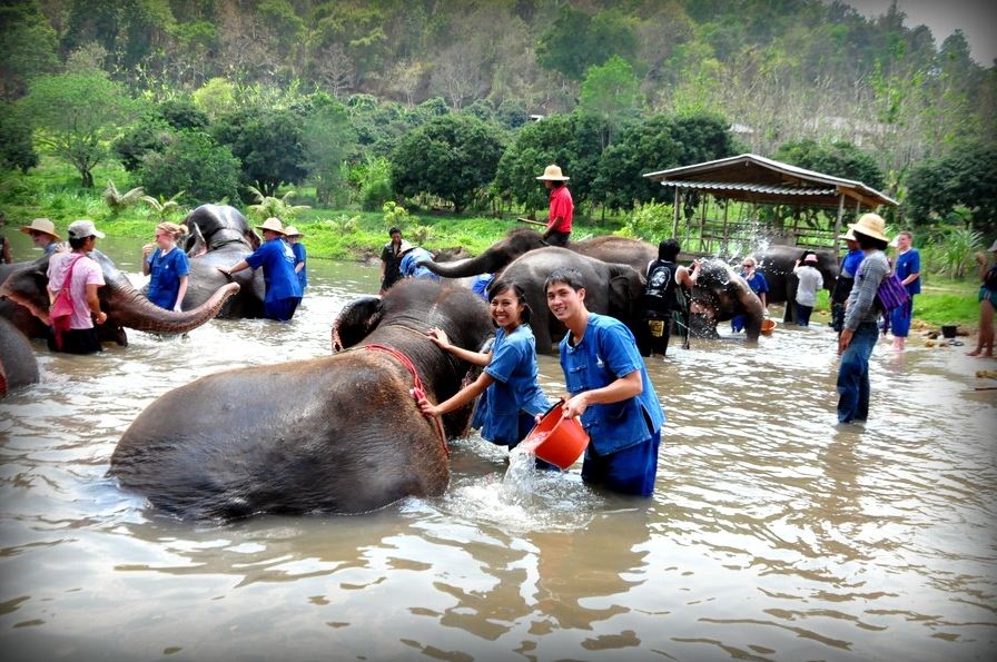 coolest things to do in chiang mai 2