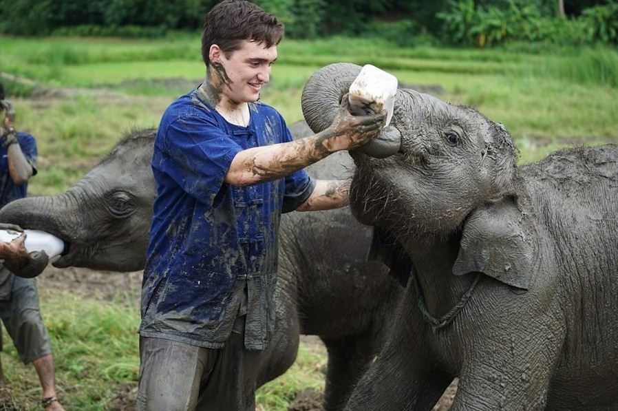 Feeding the elephants in Chiang Mai. one of the unique things to do in Chiang Mai