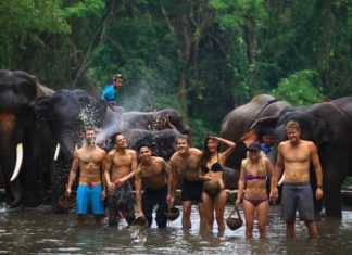 coolest things to do in chiang mai