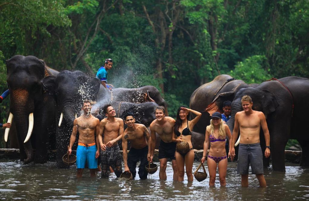 coolest things to do in chiang mai