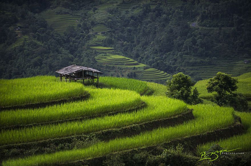17 captivating pictures of vietnam by Nguyen Vu Phuoc 10