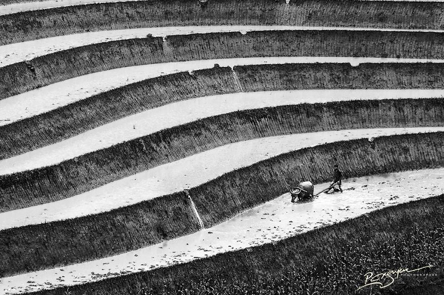 17 captivating pictures of vietnam by Nguyen Vu Phuoc 13