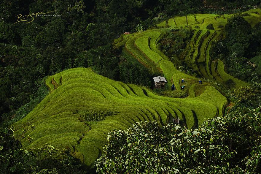 17 captivating pictures of vietnam by Nguyen Vu Phuoc 3
