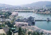 Bomun+Lake+Resort south korea spring trip