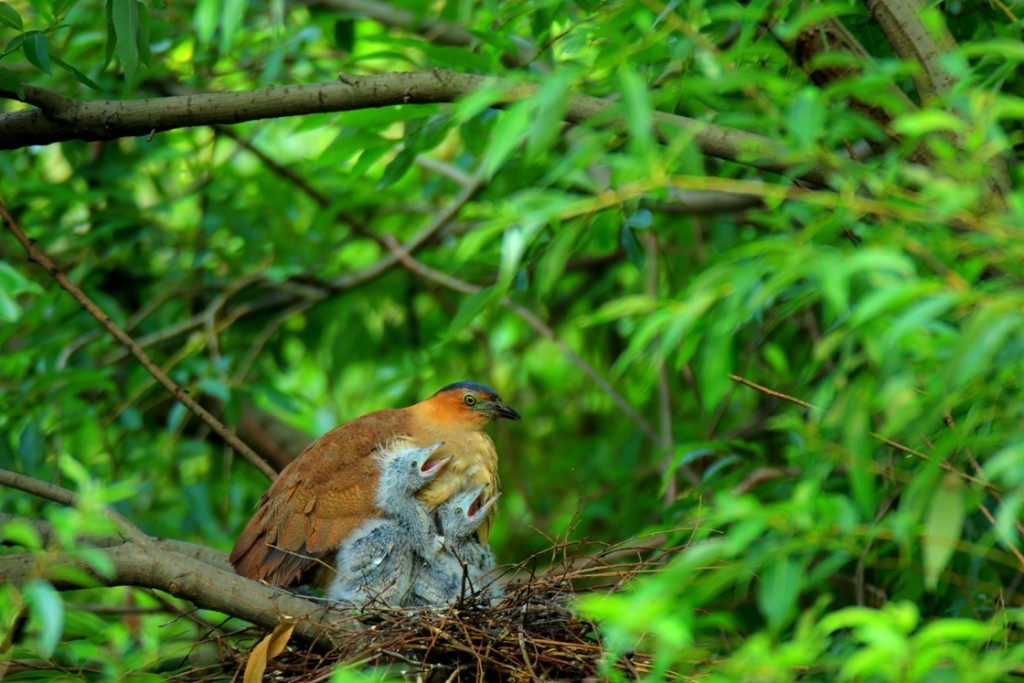 Image from vietnamtravelblogs.com