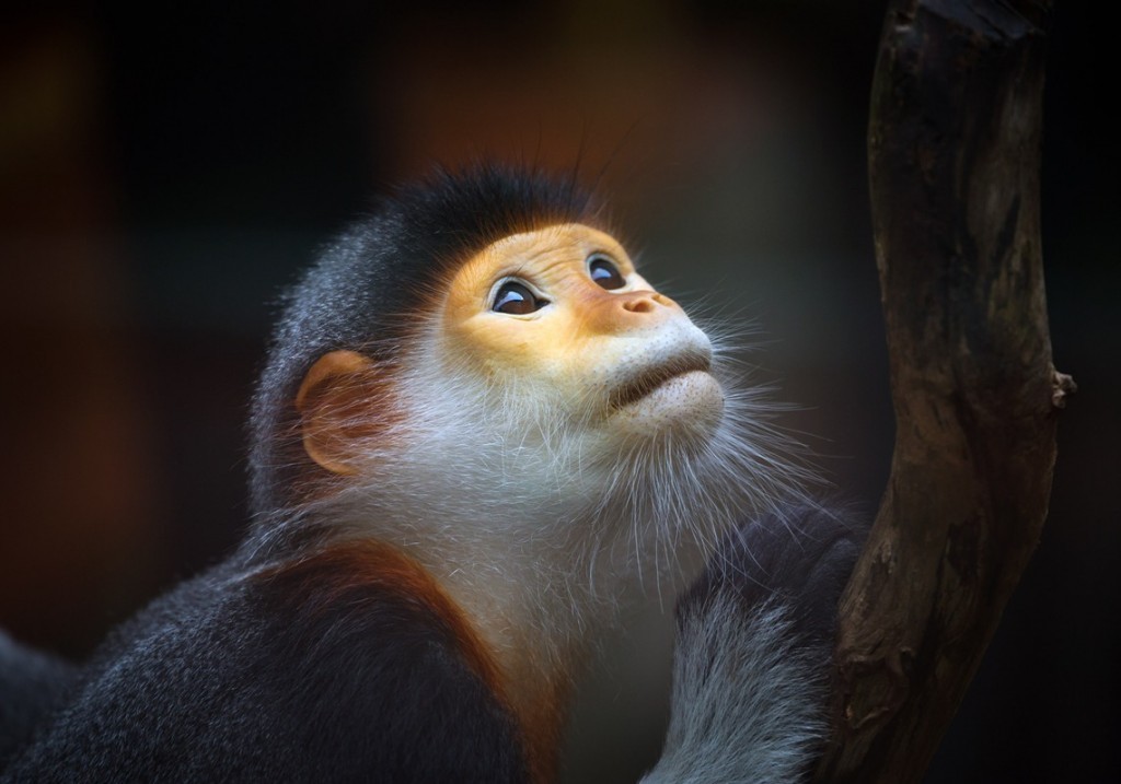 Image from vietnamtravelblogs.com