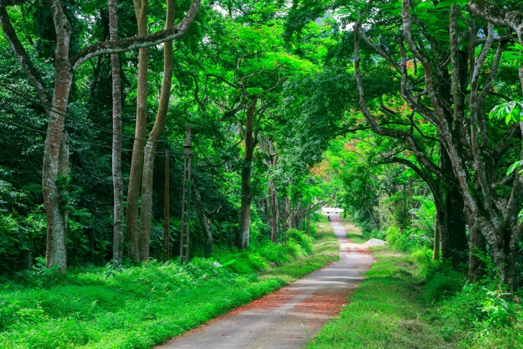 Image from vietnamtravelblogs.com