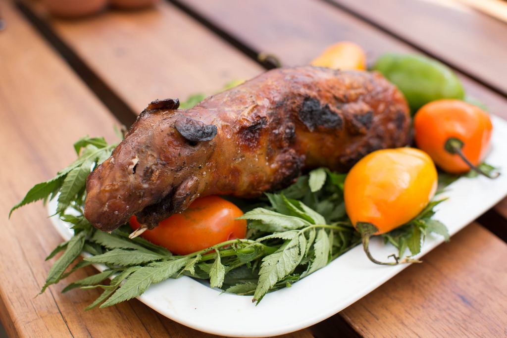 Cuy - guinea pig - a traditional food in Ecuador, Bolivia and Peru Photo: lickmyspoon