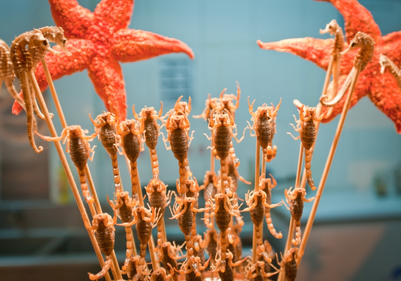 Fried scorpions could be found easily on the streets of Beijing. Photo: huffinftonpost