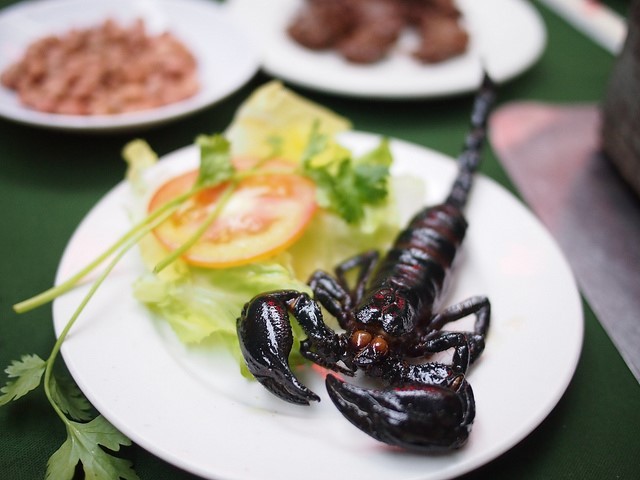 A dish of fried scorpion Photo: zing news