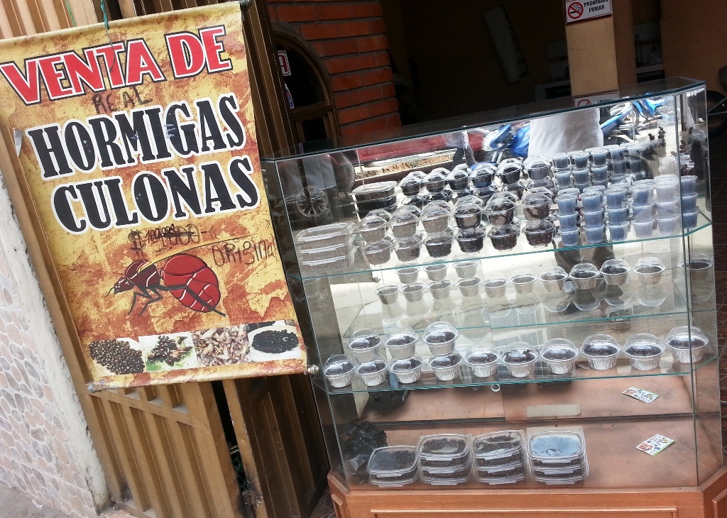 A shop selling hormigas culonas Photo: photobucket