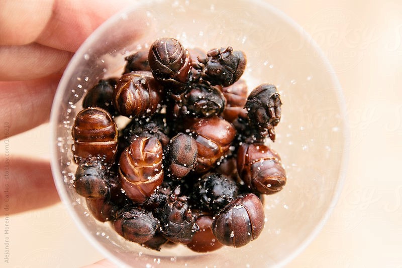 Hormigas culonas (roasted ants with salt) in Columbia Photo: zing news