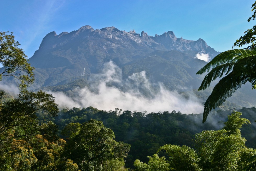 Kinabalu National Park malaysia