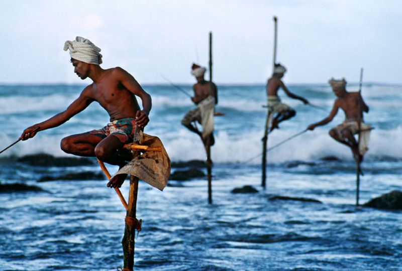 fishing on stilts in sri lanka