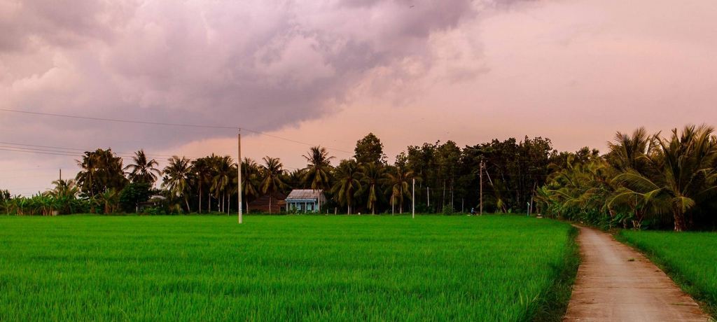 Mekong Delta 1