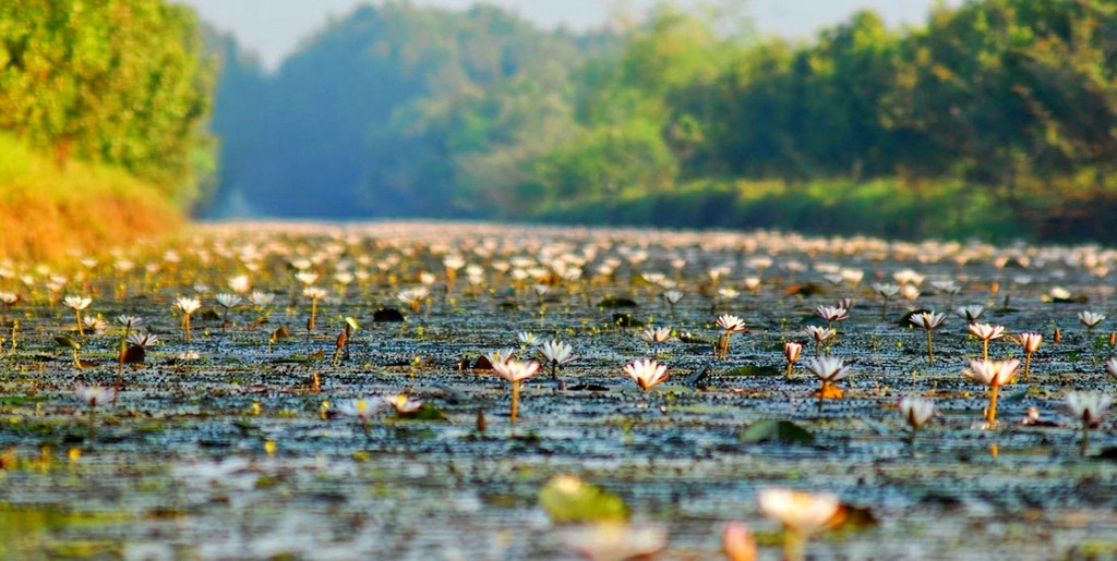 Mekong Delta 2