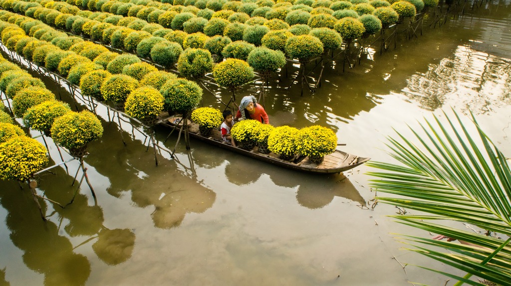 Mekong Delta 8