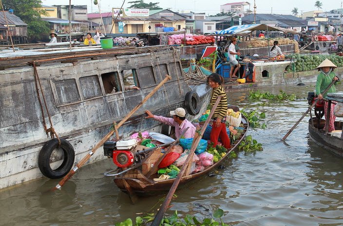 Mekong delta 6