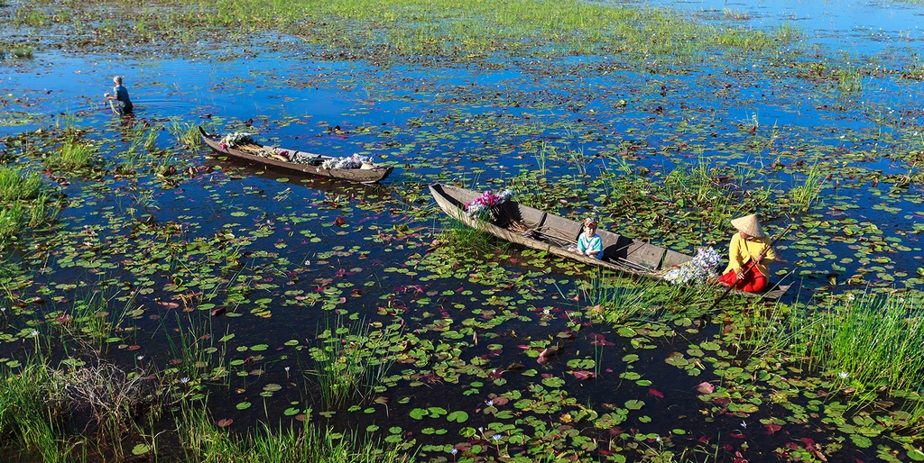 Mekong delta 9