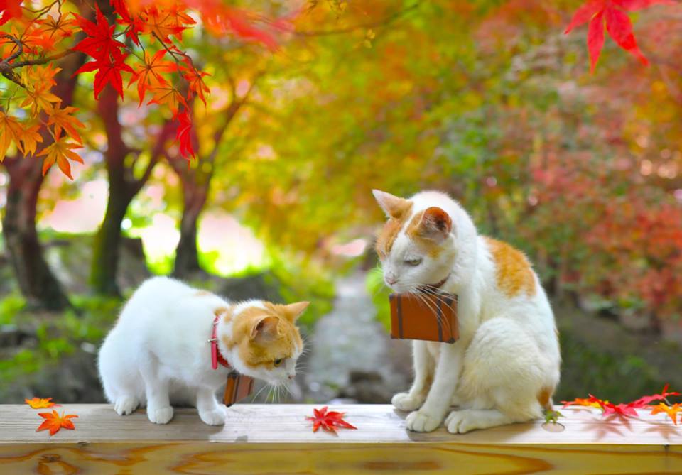 Nyalan and Deshi with two little suitcases on their necks