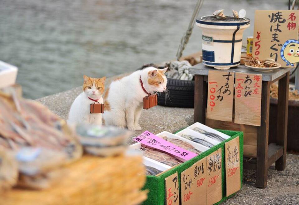 Nyalan and Deshi stood side by side to sell fish