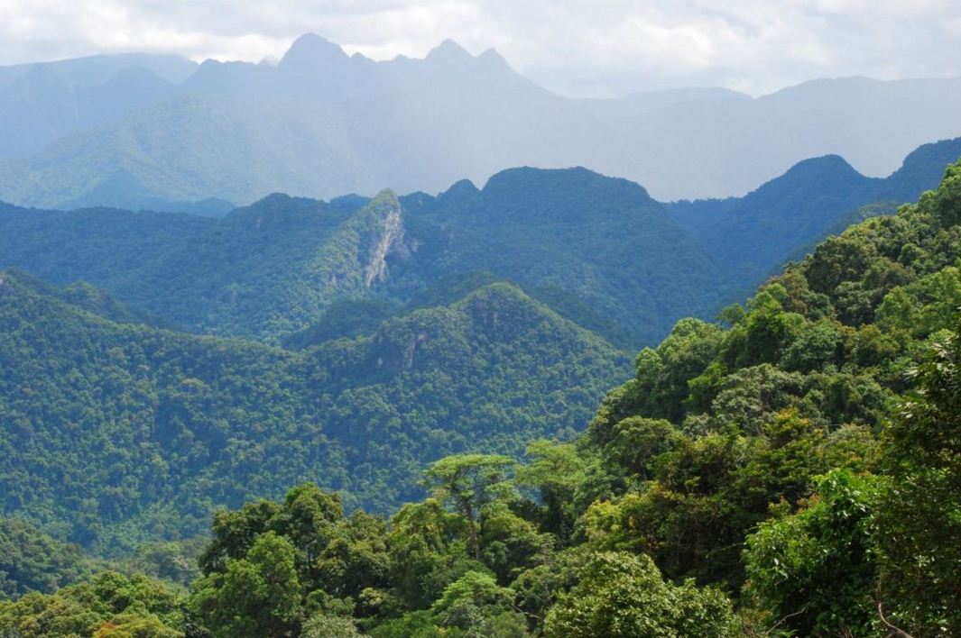 Phong Nha Ke Bang National Park vietnam trekking camping tours 2