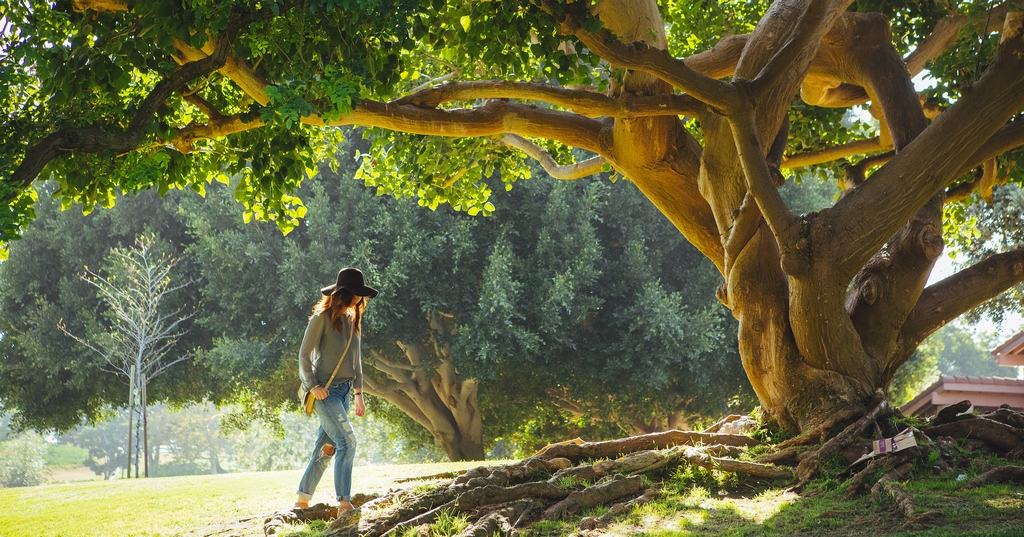 Image by flowlikewater.com