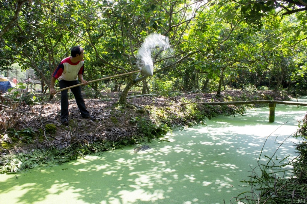 Image from vietnamtravelblogs.com
