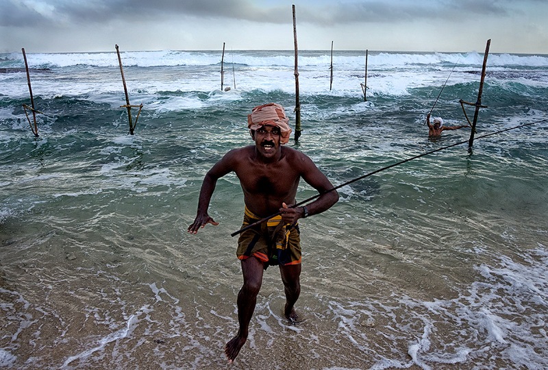 fishing on stilts in sri lanka