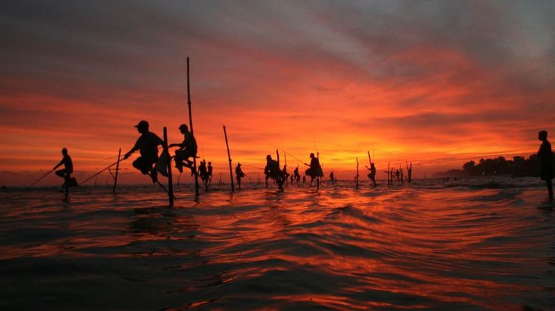 fishing on stilts in sri lanka